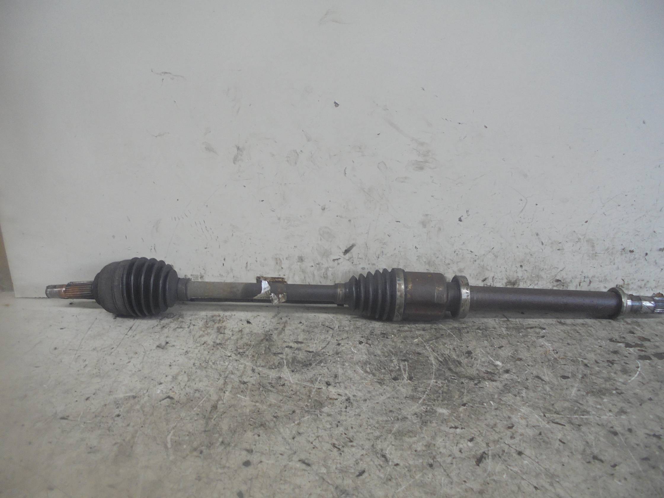 Semialbero ant. compl. dx.